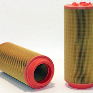 AE219 WIX AIR FILTER  C15300