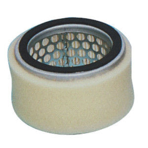 AS409 AIR FILTER