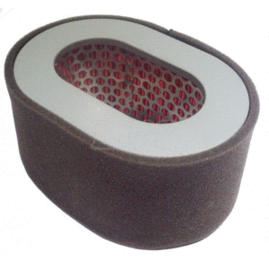 AS498 AIR FILTER