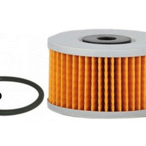 FV109 FUEL FILTER