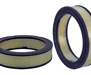 AF165 AIR FILTER