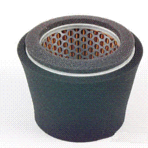 AS244 AIR FILTER