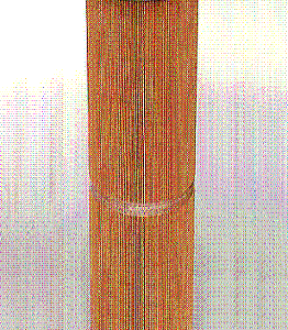 AV281 AIR FILTER